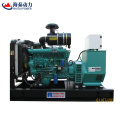 China Factory 10 kW-300KW hohe Qualität billig Elektrische Automatik Open Stummypen Typ Ricardo Generator Preis